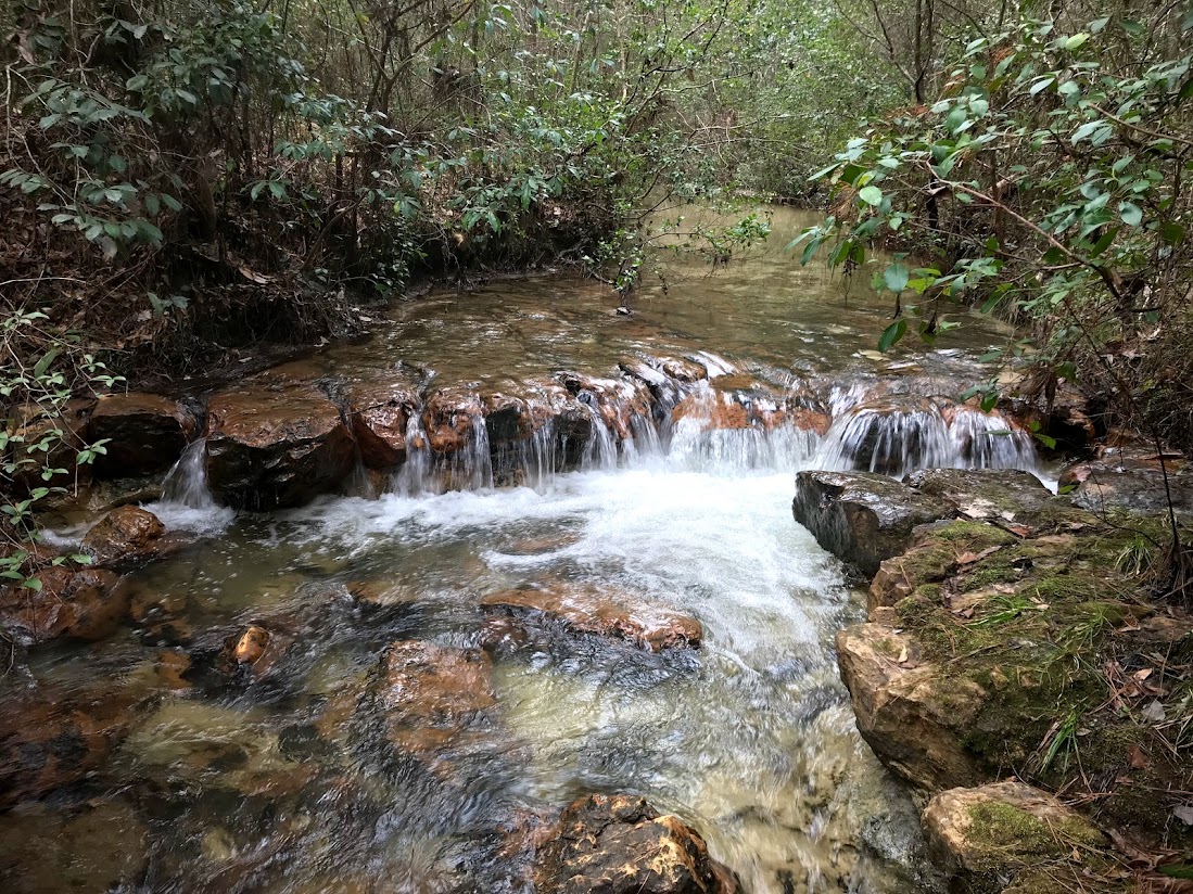 a flowing stream with rocks