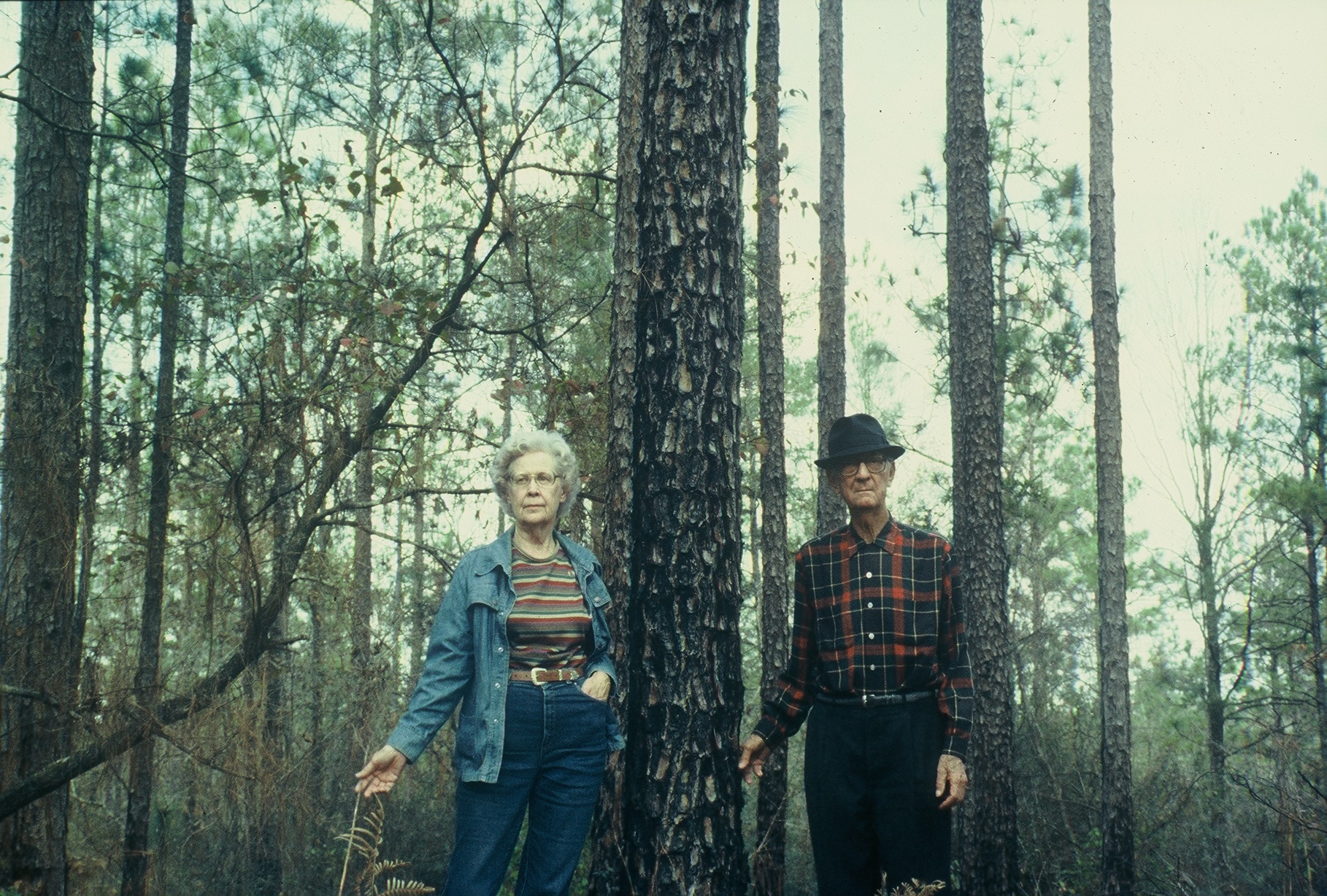 Solon and Martha Dixon standing in a mature pine stand