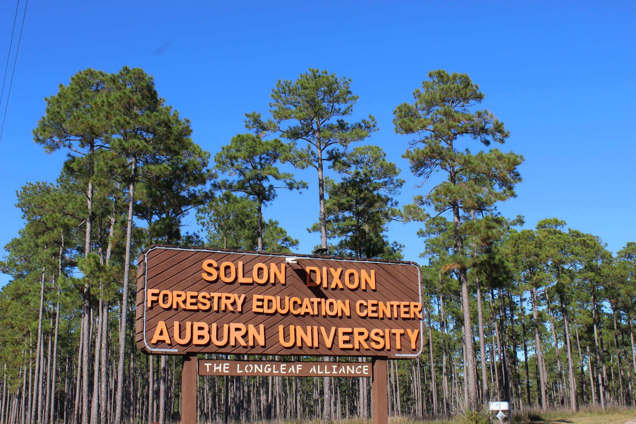 Solon Dixon Forestry Education entry road sign by Hwy 29