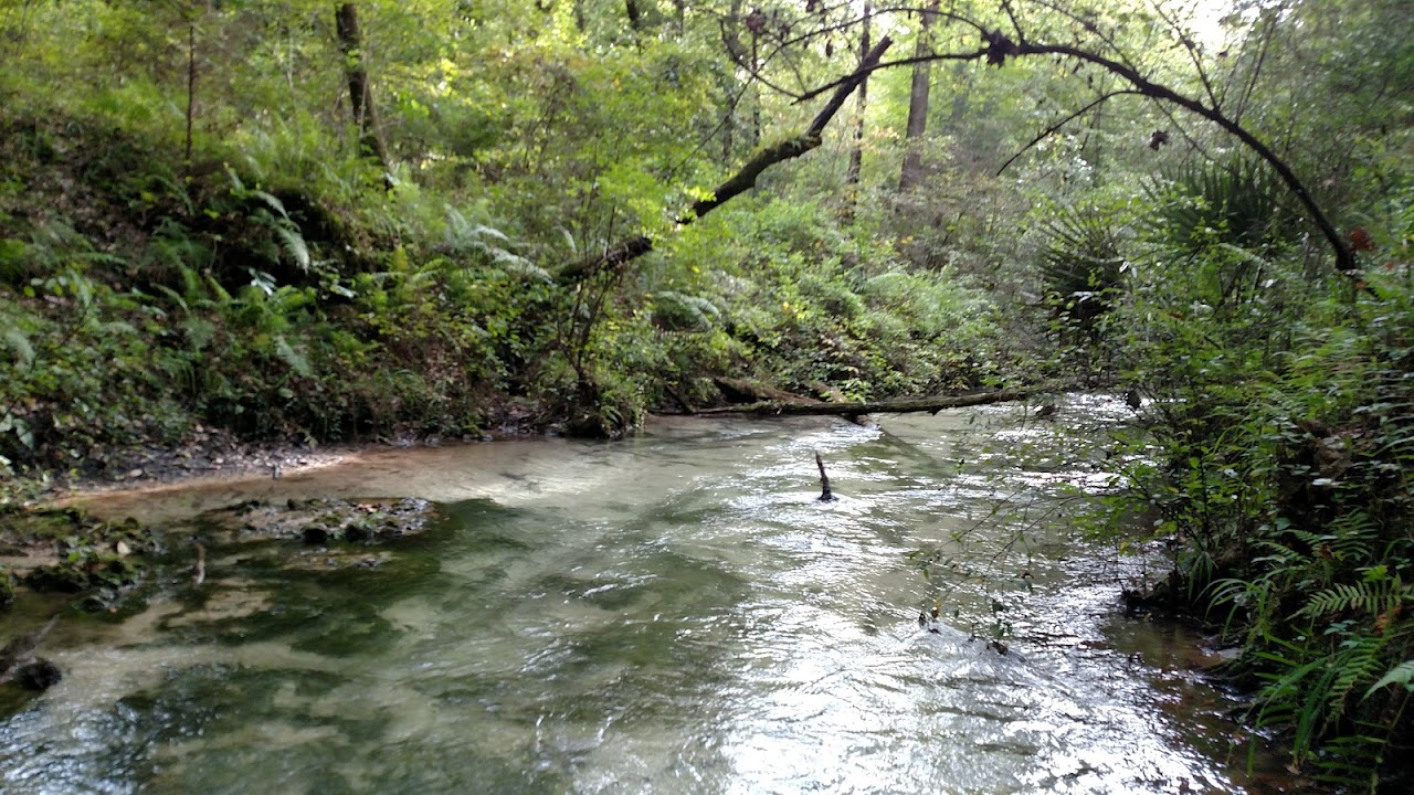 view of a creek with clear water and vegetation along the banks
