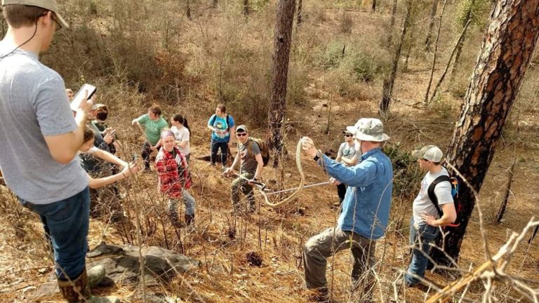 educational group with a coachwhip snake